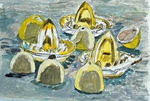 Hans Ebeling Koning - citroenpers kopen? Bied vanaf 50!