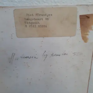 Piet Brandjes - Hortensia bij venster kopen? Bied vanaf 1!