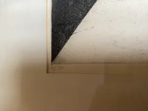 Don Englander - Man met duiven kopen? Bied vanaf 50!