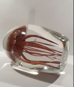 Niet of onleesbaar gesigneerd - 3D jellyfish Presse-papier Glow in the Dark kopen? Bied vanaf 1!