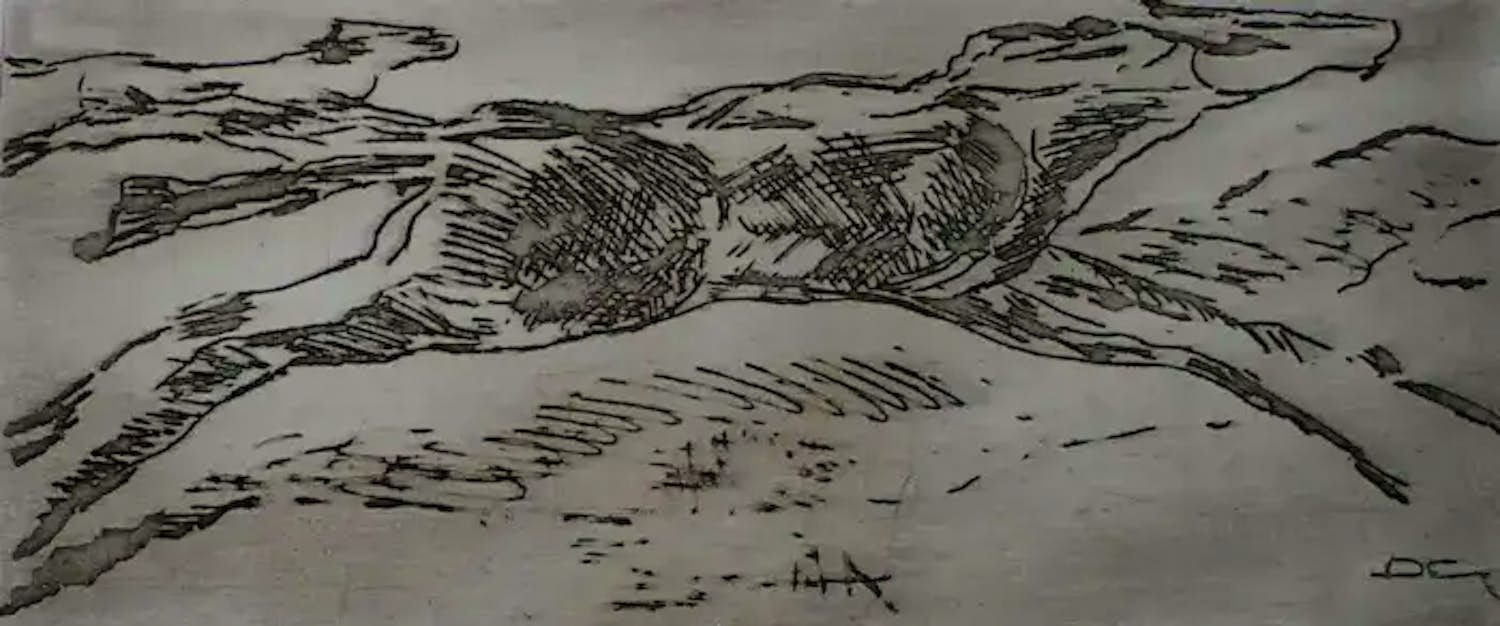 David Granaat - Ets: paarden (Mustangs) kopen? Bied vanaf 49!