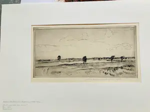 Antoon Derkzen van Angeren - Vier bomen aan een rivieroever kopen? Bied vanaf 45!