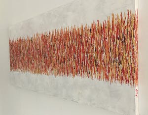 John Foppen - Rapsody In Gold + Red. ...... # K 04 . XL. GROOT. kopen? Bied vanaf 179!