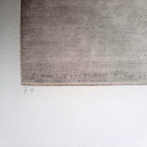 Charles Donker - Dode Beflijster kop naar rechts - bijzondere ets uit 1977 - 21019 kopen? Bied vanaf 275!