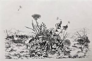 Simon Koene - Paardenbloem kopen? Bied vanaf 25!