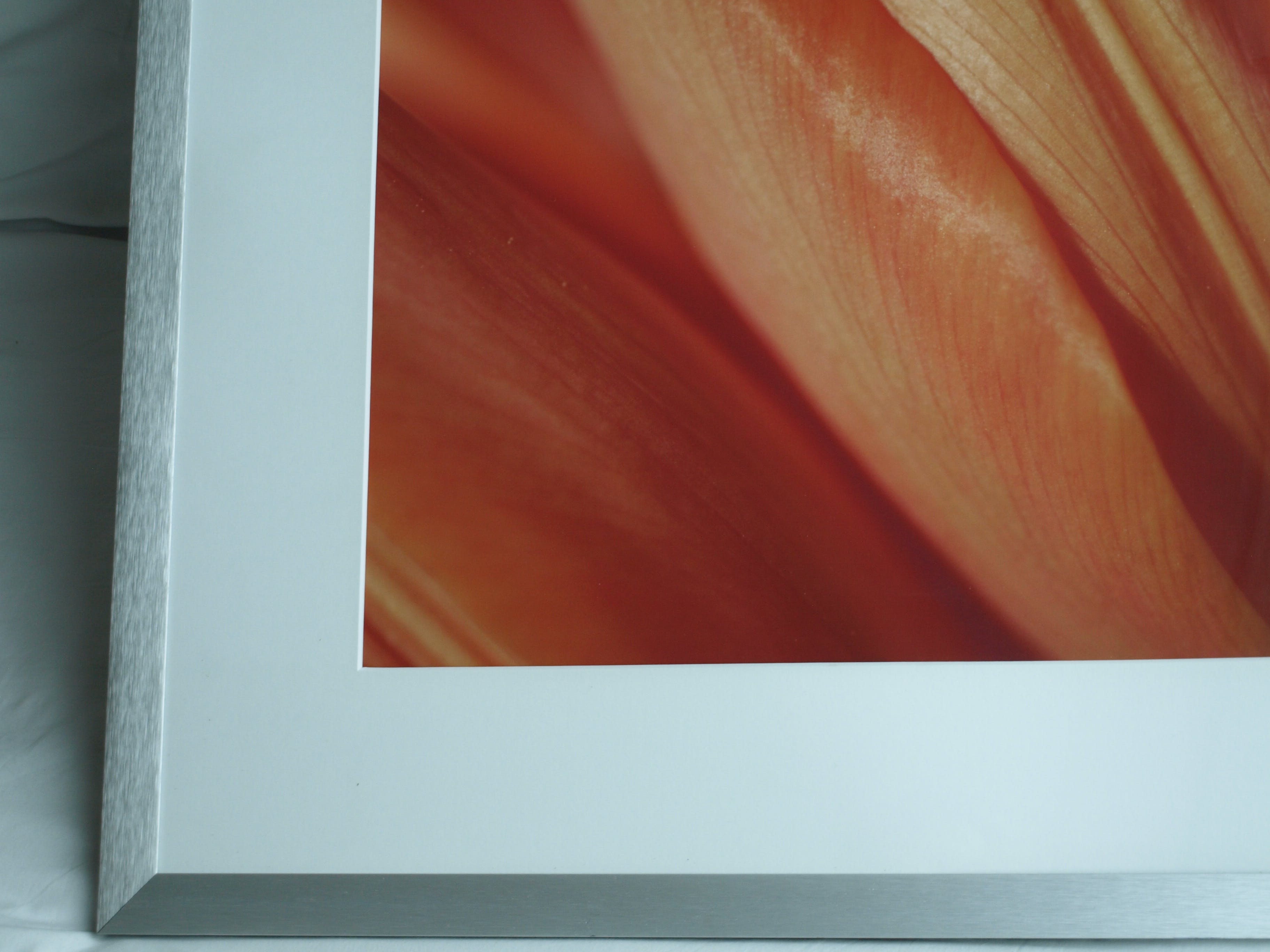 Niet of onleesbaar gesigneerd - Foto , Close-up – ingelijst  kopen? Bied vanaf 1!