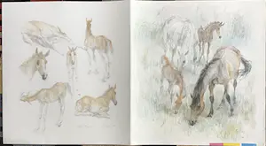 Piet Klaasse - Paarden, proefdruk offsetlitho, 2-zijdig bedrukt, gesigneerd in druk kopen? Bied vanaf 50!