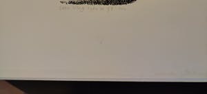 Sees Vlag - Krimpenerwaard kopen? Bied vanaf 10!