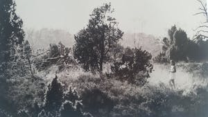 Erik Gigengack - "Buurse 2014", gesigneerde nummer 1 van beperkte oplage. kopen? Bied vanaf 35!