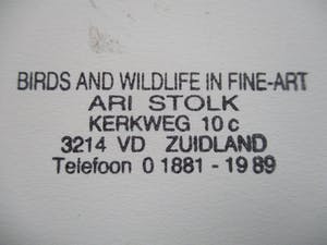 Ari Stolk - Buizerd en reeën kopen? Bied vanaf 45!