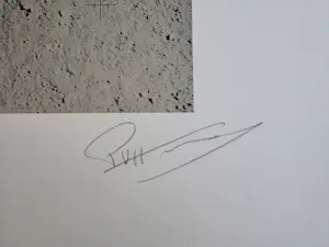 Paul Van Hoeydonck - Fallen Astronaut kopen? Bied vanaf 200!