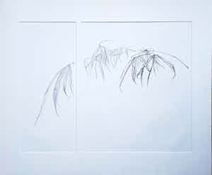 Reinder Homan - dubbele ets, botanisch, opl.3/50, incl. lijst verkocht voor € 150!