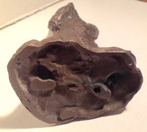 Pieter de Monchy - Staande beer kopen? Bied vanaf 175!