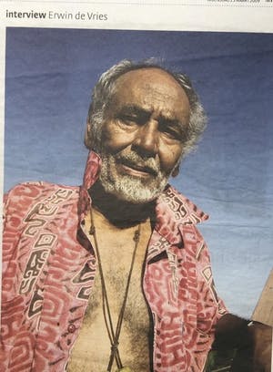 Erwin de Vries - Lady in blue kopen? Bied vanaf 450!