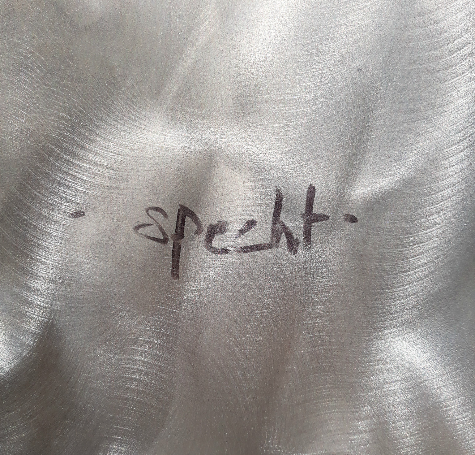 Robert Wevers - Specht, acrylverf en inktjet op aluminium kopen? Bied vanaf 375!