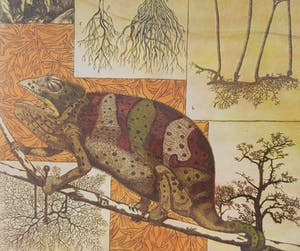 Annemarie Petri - Interieur van een rizoloog kopen? Bied vanaf 20!