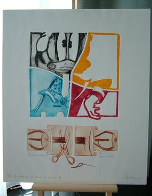 Arend van Dam - Kleuren ets op papier, getiteld "De schele ogen van Donald" 4/15 kopen? Bied vanaf 15!