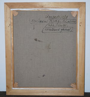 Doris Groeneveld - olieverf op doek - Nieuw Zeeland 2000 - incl kunstboek kopen? Bied vanaf 160!