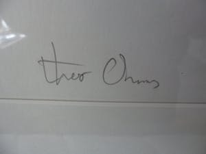 Theo Onnes - Zeefdruk. Titel. "Cow 1 ( Groot ) kopen? Bied vanaf 120!