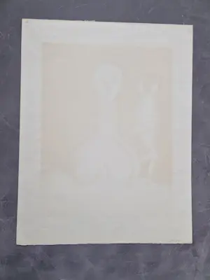 Walter Goossens - in beperkte (70) oplage gemaakte surrealistische kleuren lithografie - gesigd kopen? Bied vanaf 36!