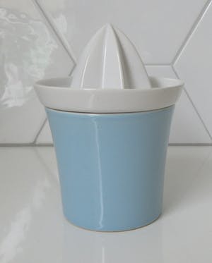 Niet of onleesbaar gesigneerd - Pastel Lichtblauwe Platelen Citruspers kopen? Bied vanaf 10!