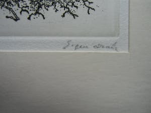 Willem Minderman - WILDE PLANTEN kopen? Bied vanaf 50!