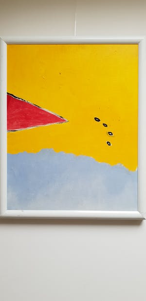 Robin Deirkauf - Geel na rood kopen? Bied vanaf 25!