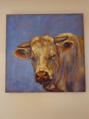 Mieke Robben - Stier kopen? Bied vanaf 40!