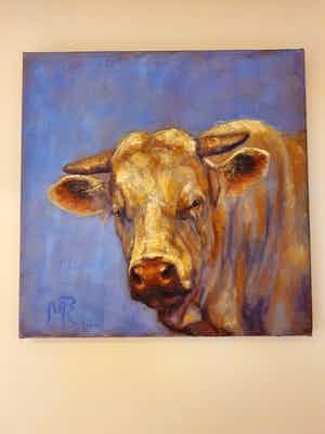 Mieke Robben - Stier verkocht voor € 40!