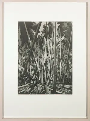 David Schnell - Aquatint, Abkürzung - Ingelijst kopen? Bied vanaf 650!