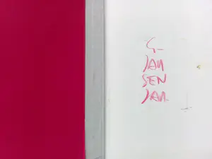 Geert Jan Jansen - Avonturen van een meestervervalser - GESIGNEERD. kopen? Bied vanaf 50!