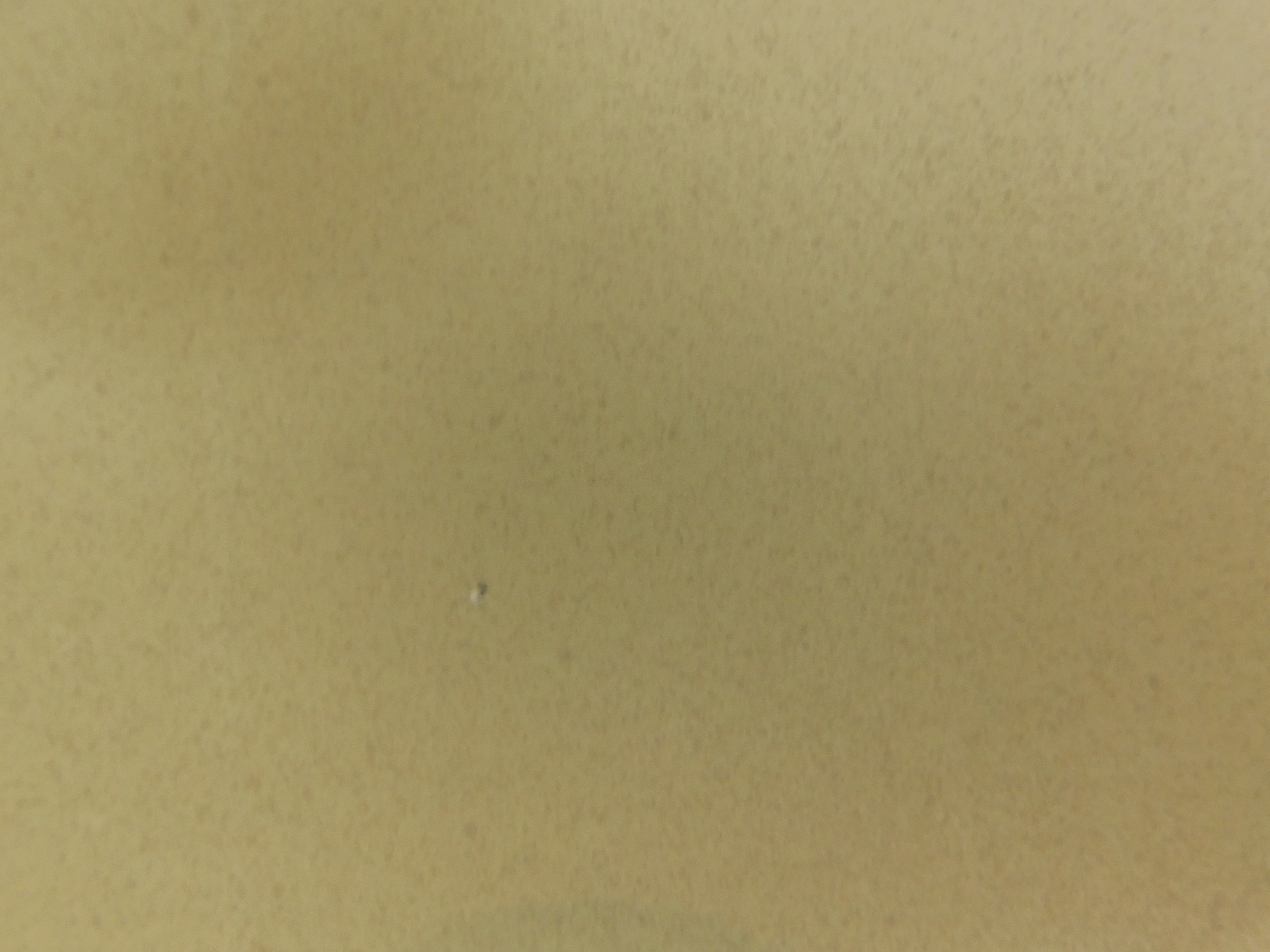 Leonor Fini - Fruits de la Passion kopen? Bied vanaf 55!