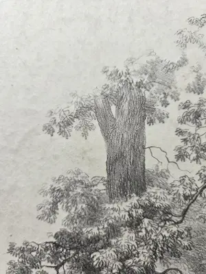 Barend Cornelis Koekkoek - Bomen. Litho. kaufen? Bieten Sie von 20!