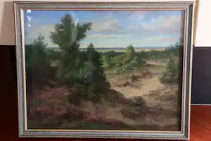 Jan de Boer - Het Vossenzand bij Kootwijk op de Veluwe verkauft für € 150!