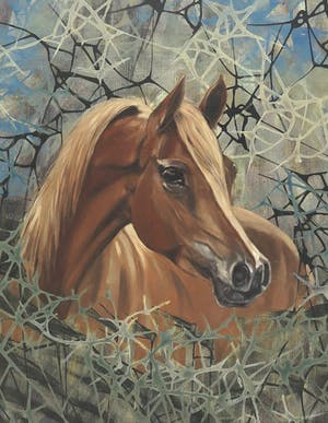 Valentin Bakardjiev - Horse - In onnavolgbare fluweelzachte kleurstelling - Nieuwwaarde €4.500,- kopen? Bied vanaf 1!