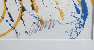 Arman - La Seconde parade des Objects - 1989 - Zeefdruk ingelijst 52/200 kopen? Bied vanaf 250!