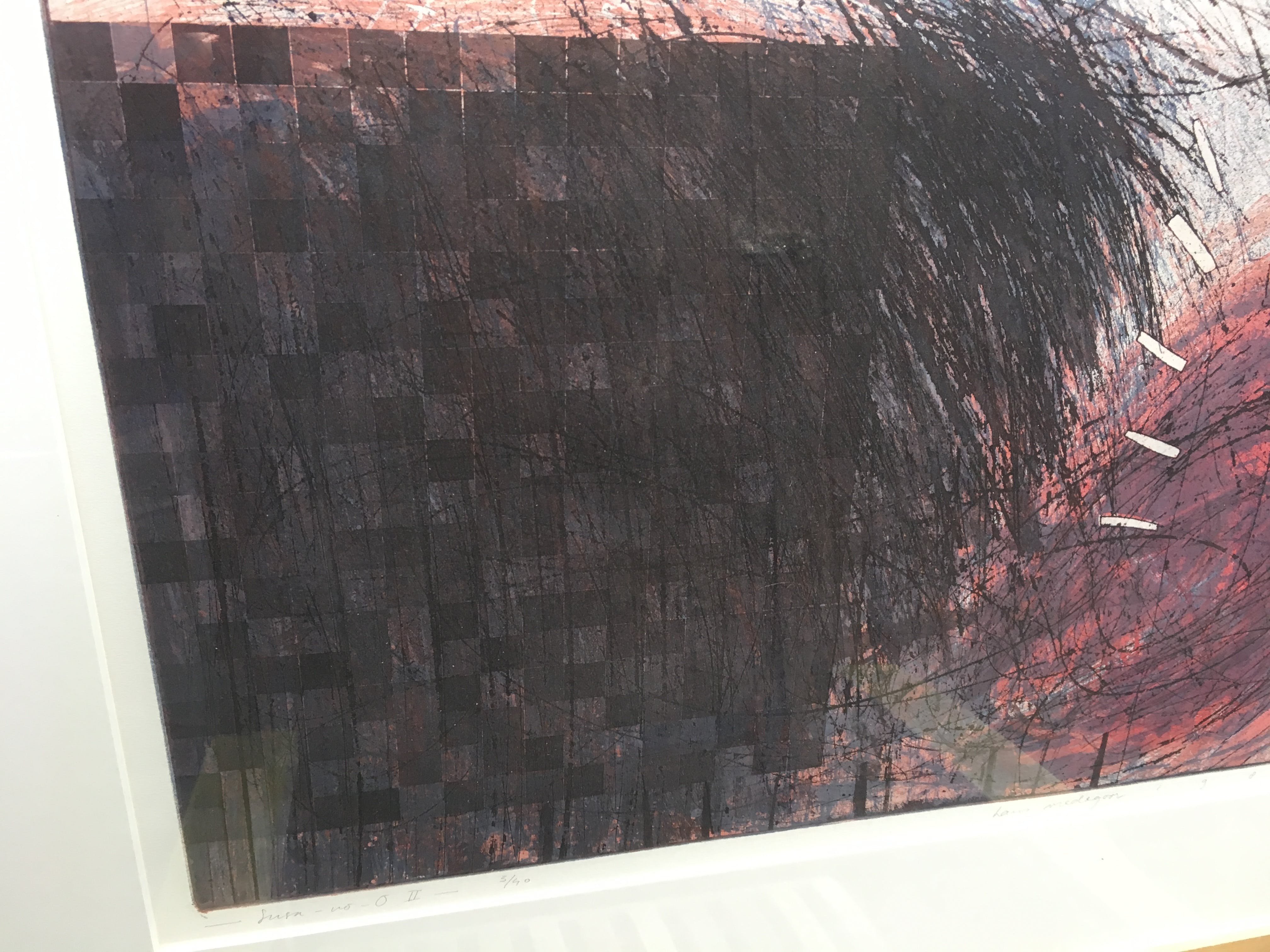 Hans Vredegoor - Susa-No-O 1984 kopen? Bied vanaf 40!