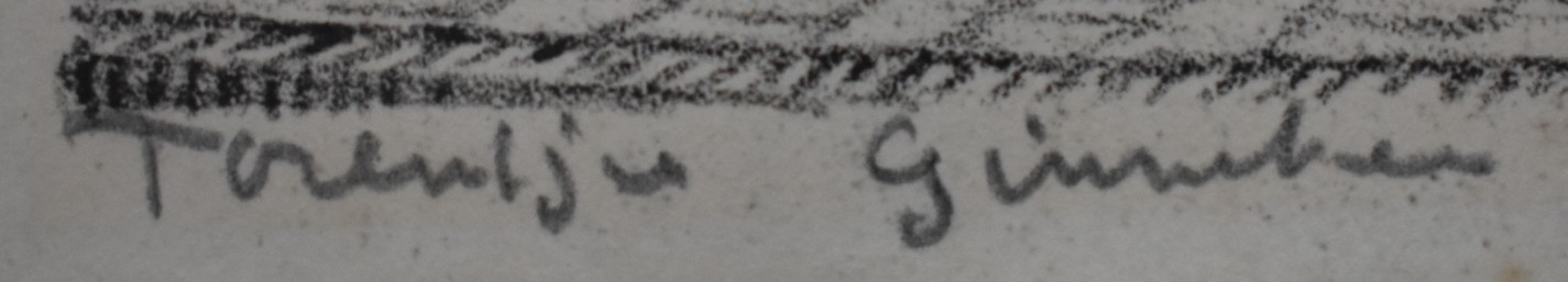 Jan Strube - Torenthe van Ginneken kopen? Bied vanaf 50!