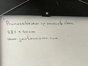 Jan Teunissen - Prunusbloesem op een bemoste steen kopen? Bied vanaf 400!