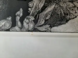 Ad Kooijmans - Ets, Zonnebloem. kopen? Bied vanaf 35!