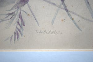 Carel Alphons Eckstein - Aquarel rozen 19e eeuw kopen? Bied vanaf 150!