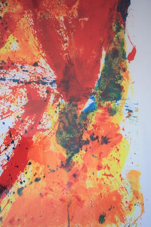 Jan Cremer - Groot werk: rode tulpen '92 kopen? Bied vanaf 300!