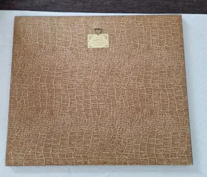 Marius de Jongere - Dorpje aan het water kopen? Bied vanaf 75!