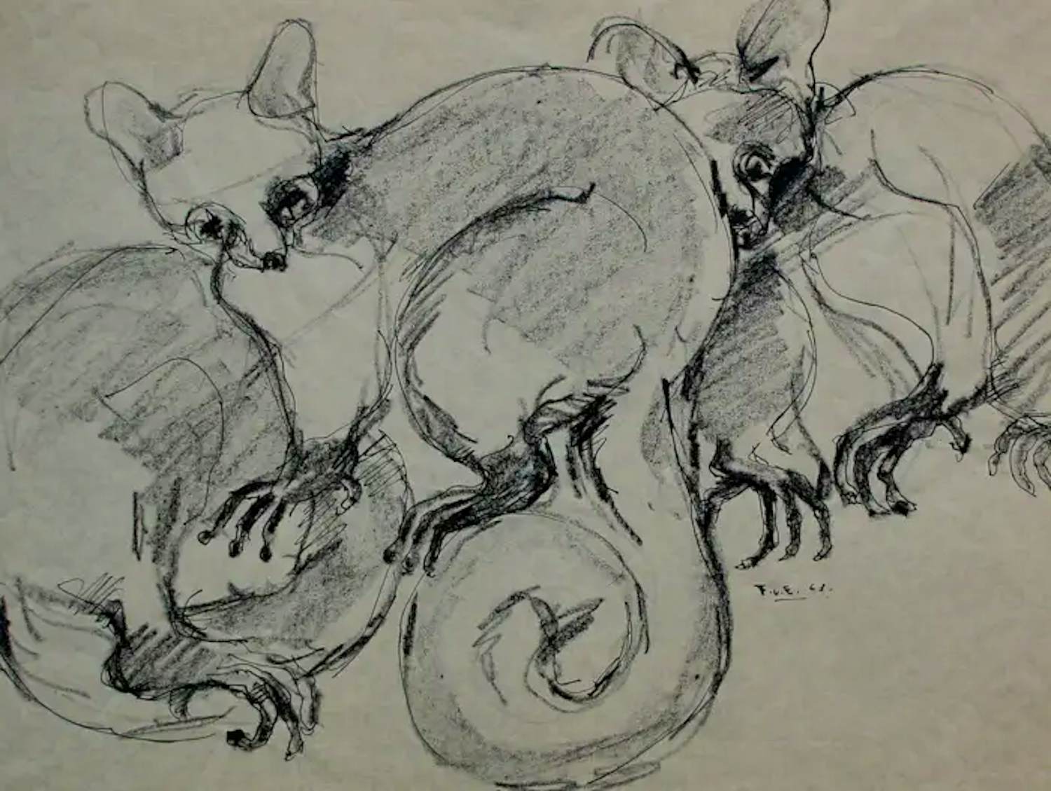 Frits van Eeden - Pen/potlood tekening: Dieren - 1963 kopen? Bied vanaf 75!