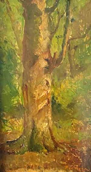 George Pletser - de boom verkocht voor € 1!