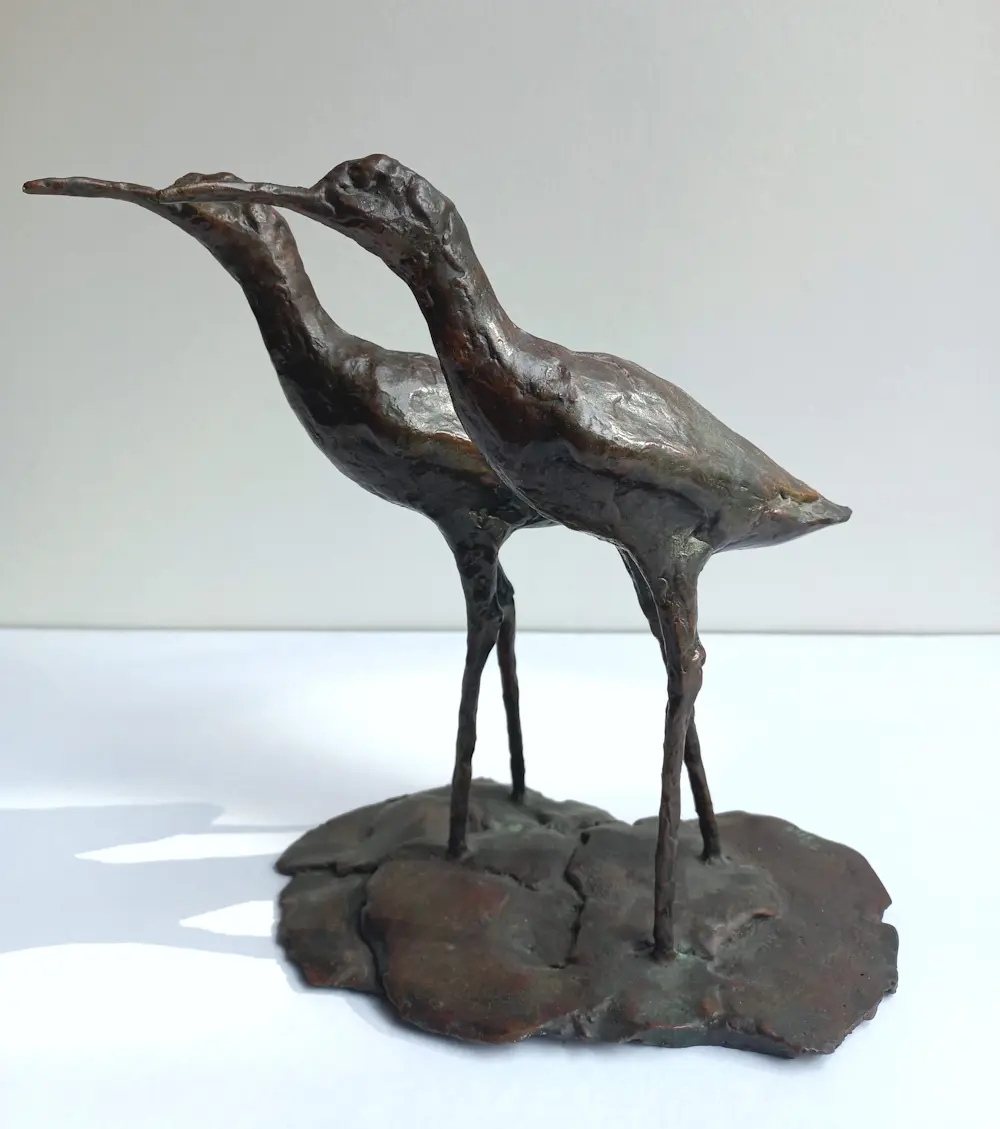 Jonneke Kodde (1958)