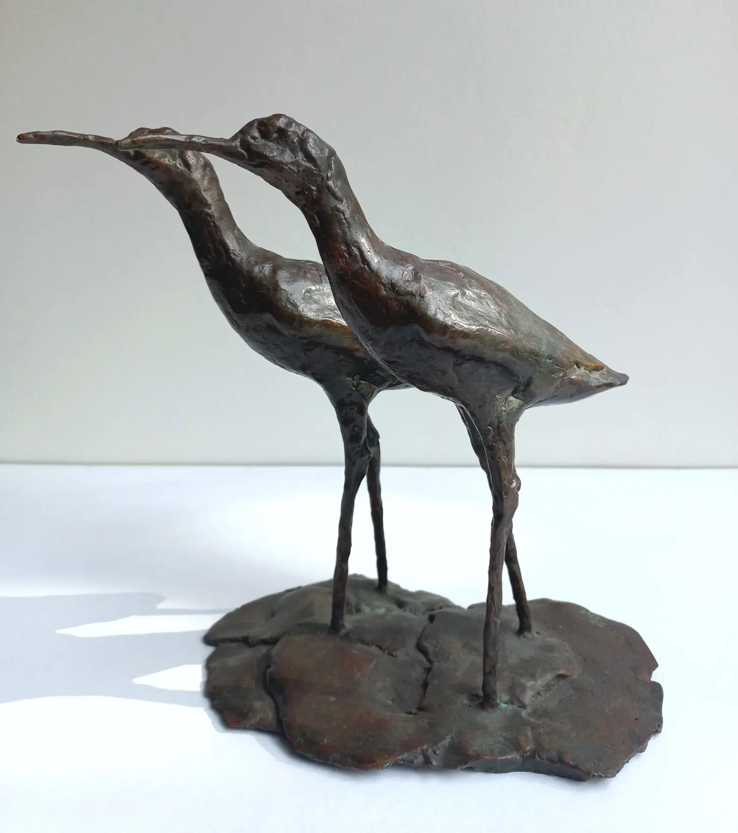 Jonneke Kodde (1958)