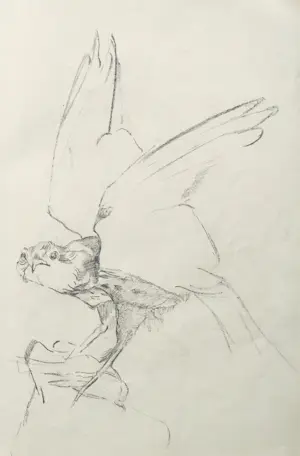 Alida van Houten - Tekenmap (24 tekeningen) kopen? Bied vanaf 450!