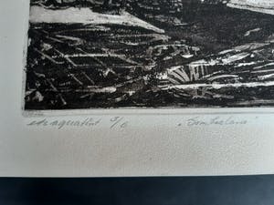 Jan Vaatstra - Somberland kopen? Bied vanaf 5!