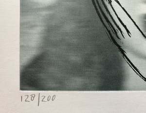 Pat Andrea - ets/zeefdruk - zonder titel - 2012 kopen? Bied vanaf 80!